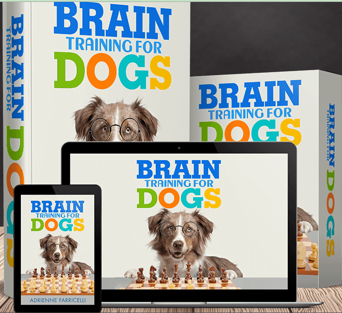 fun games for puppies