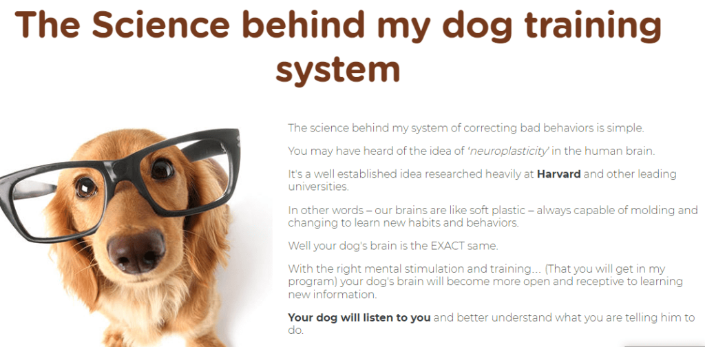 Understanding Dog Psychology in Dog Training